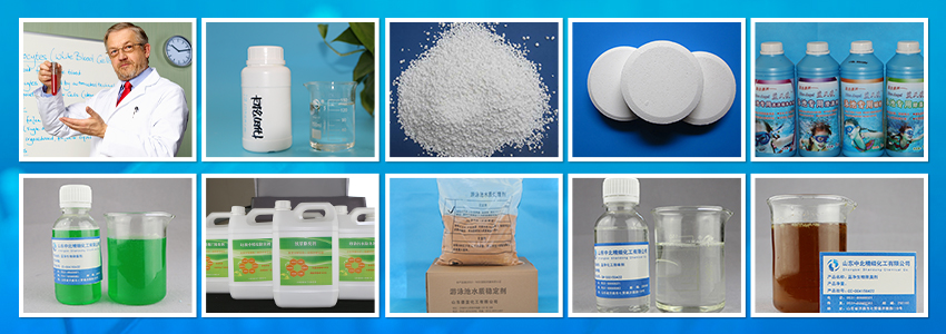 二氯異氰尿酸鈉_山東德藍(lán)化工消毒劑生產(chǎn)廠家